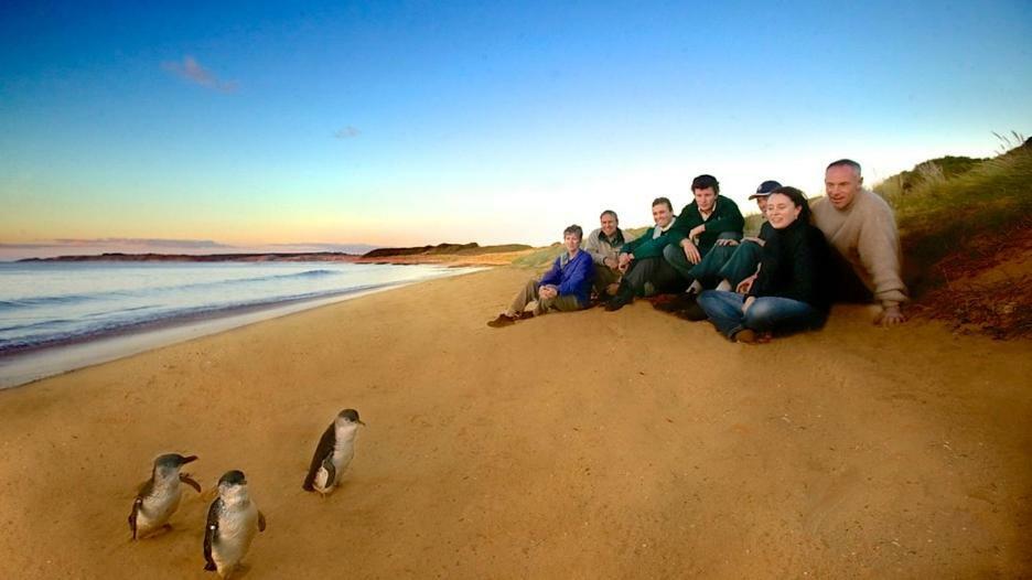 The Grampian Phillip Island Villa Cowes Dış mekan fotoğraf
