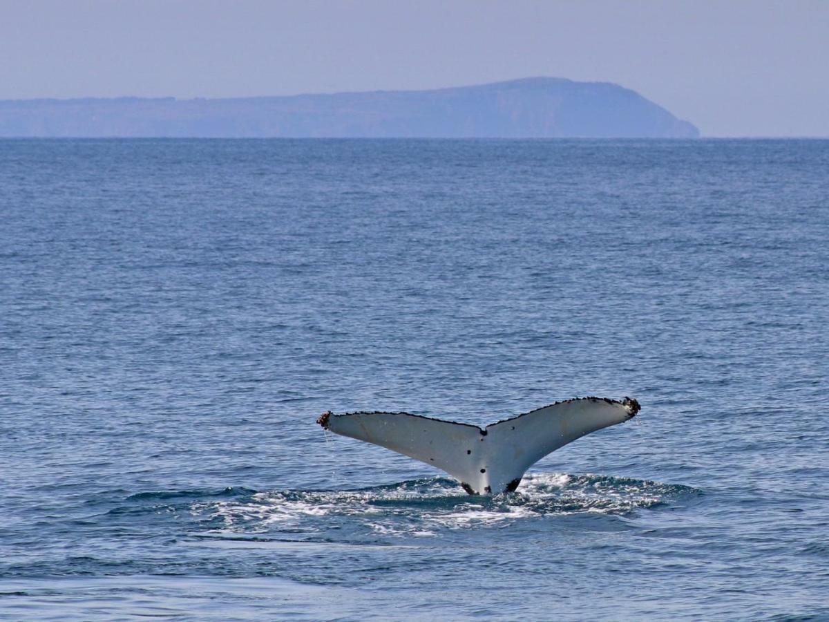 The Grampian Phillip Island Villa Cowes Dış mekan fotoğraf