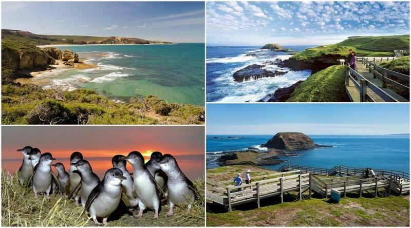 The Grampian Phillip Island Villa Cowes Dış mekan fotoğraf
